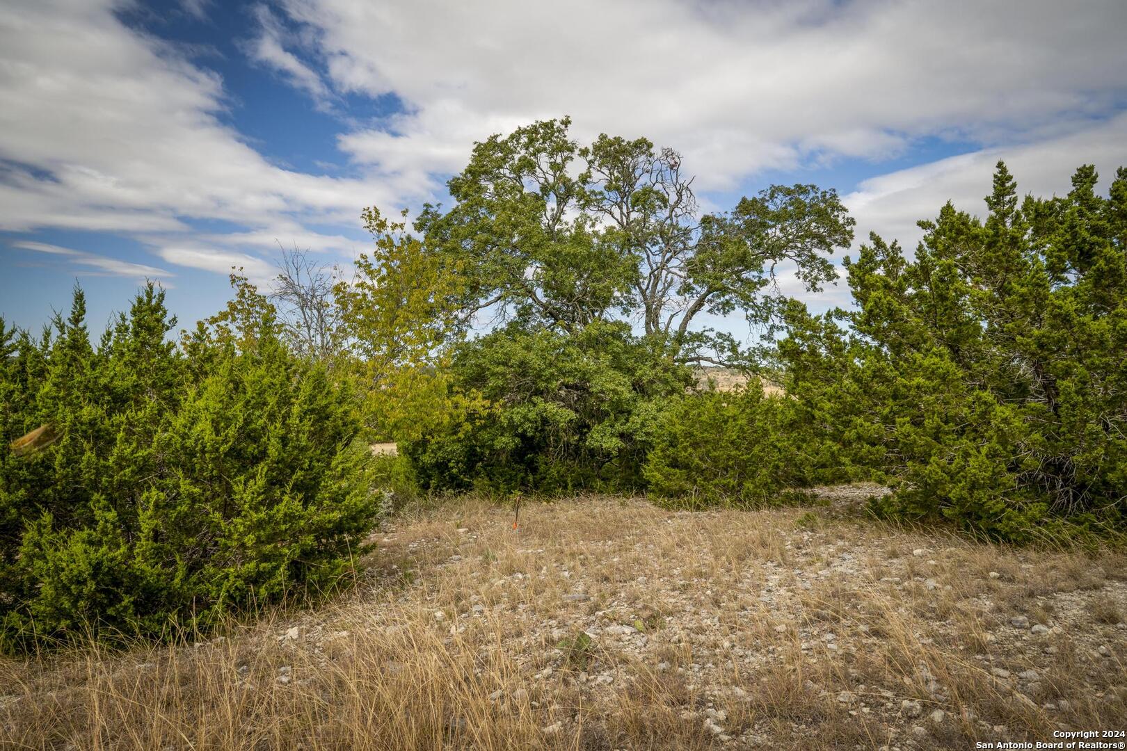 30 Buckskin Path Fredericksburg TX 78624