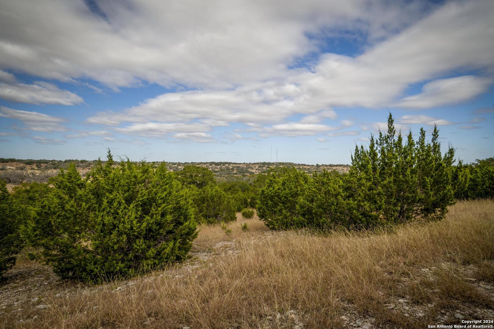 30 Buckskin Path Fredericksburg TX 78624