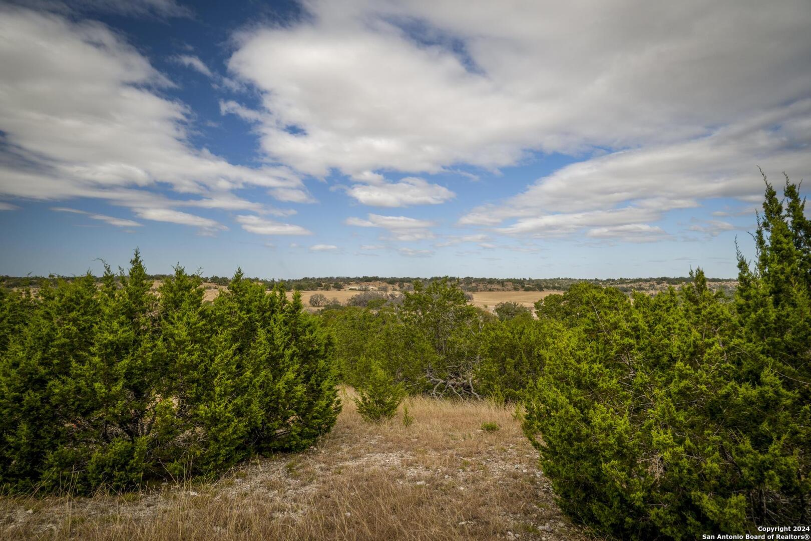 30 Buckskin Path Fredericksburg TX 78624