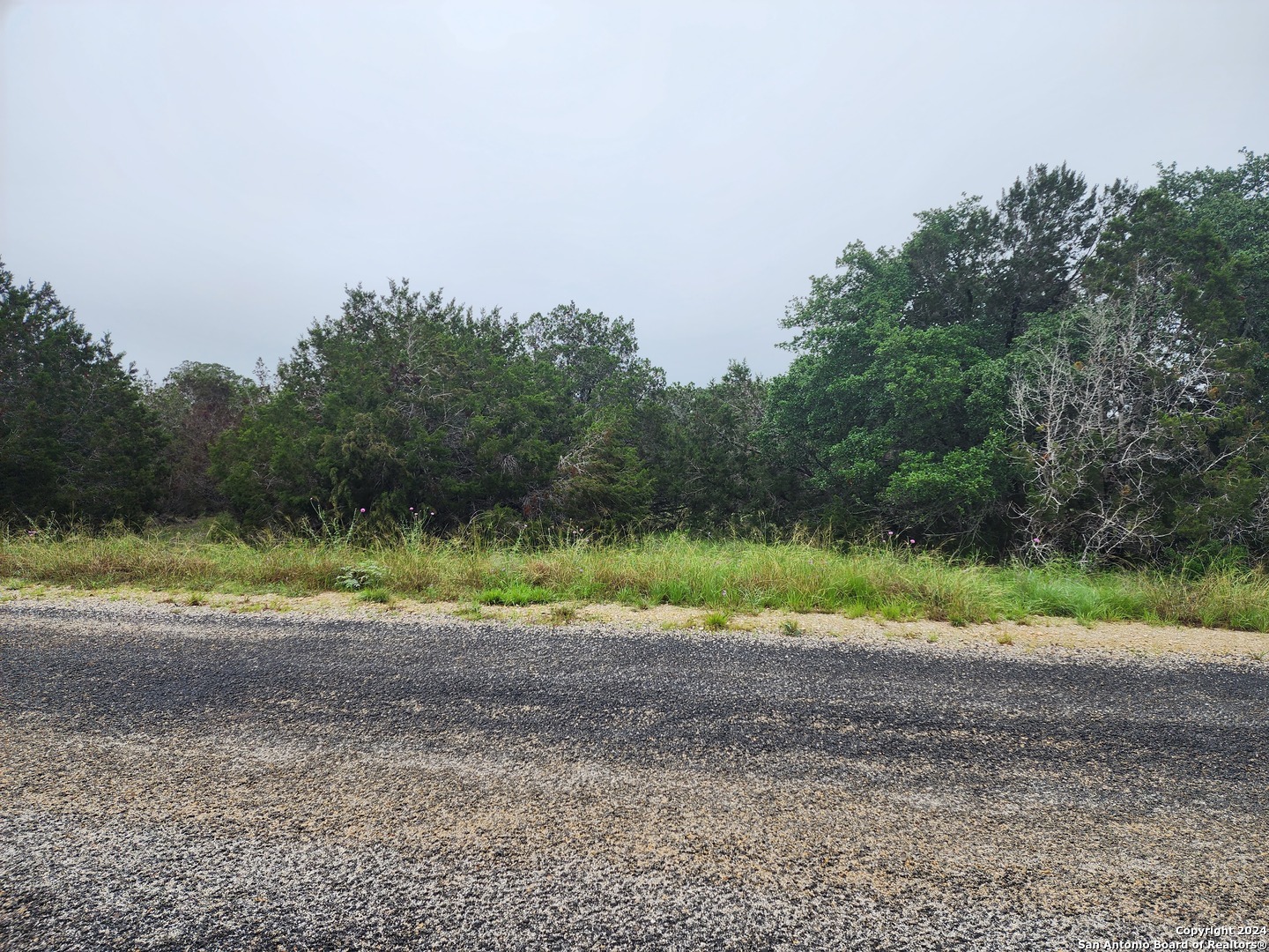 0 Serenity Oaks 2, Lot 21 Spring Branch TX 78070