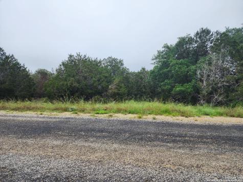 0 Serenity Oaks 2, Lot 21 Spring Branch TX 78070