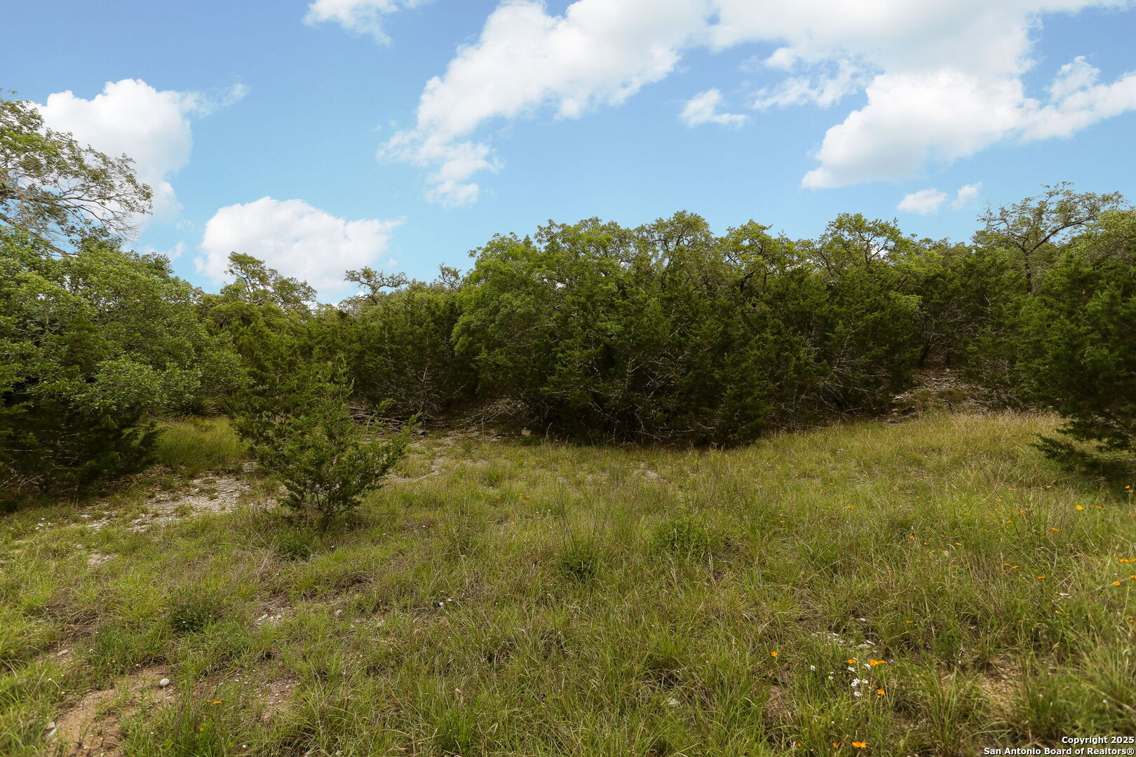 27275 Ranchland View Boerne TX 78006