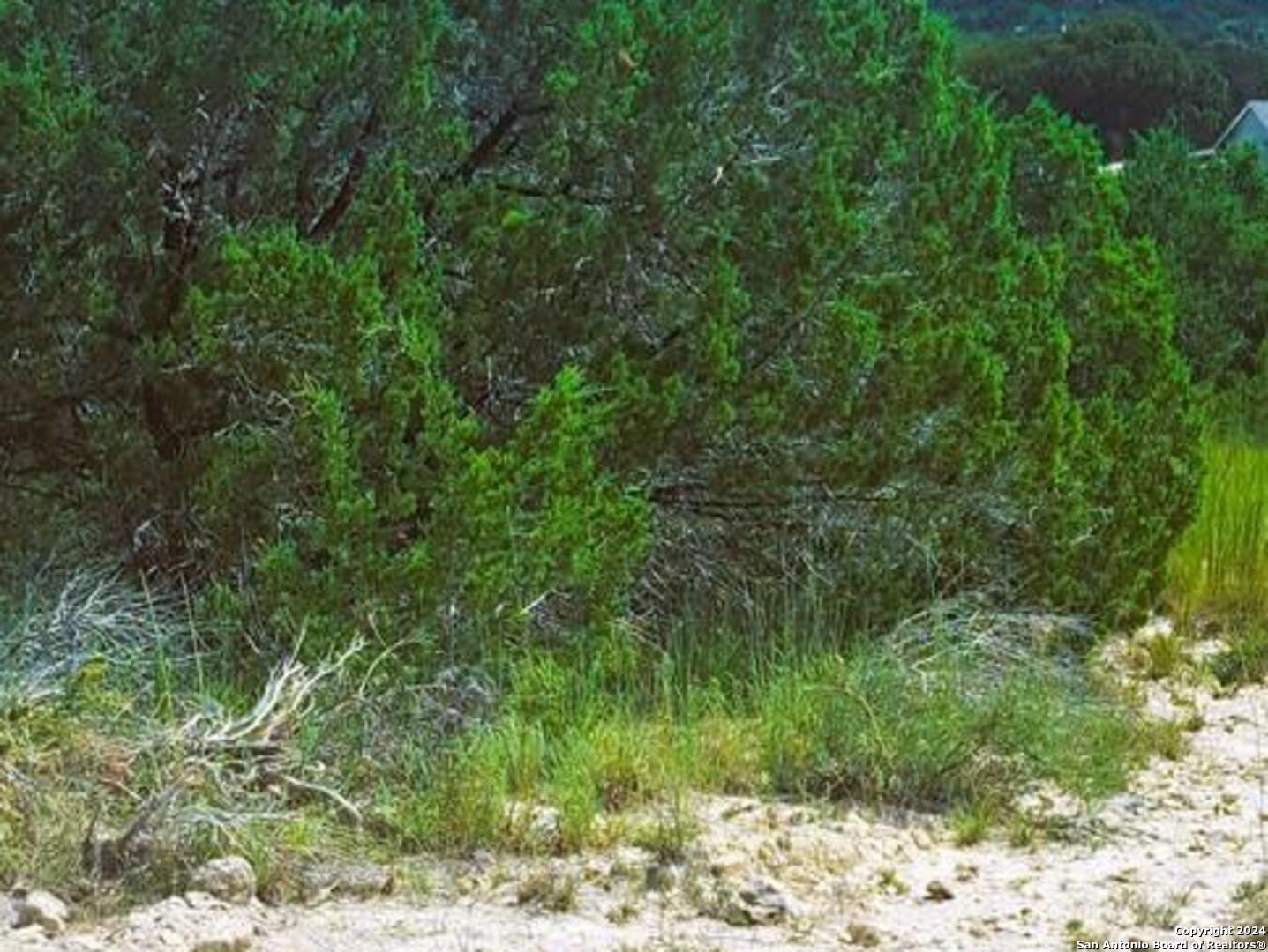 0 Ken Wayne Drive Spring Branch TX 78070
