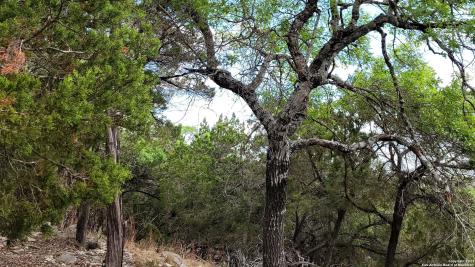 2515 Smoke Rise Bulverde TX 78163