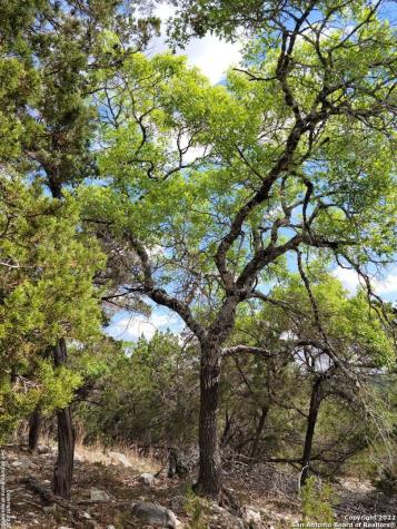 2515 Smoke Rise Bulverde TX 78163
