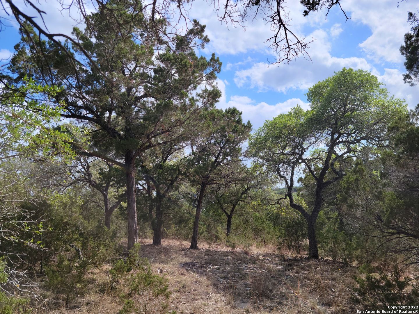 2515 Smoke Rise Bulverde TX 78163