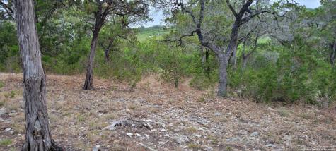 2515 Smoke Rise Bulverde TX 78163