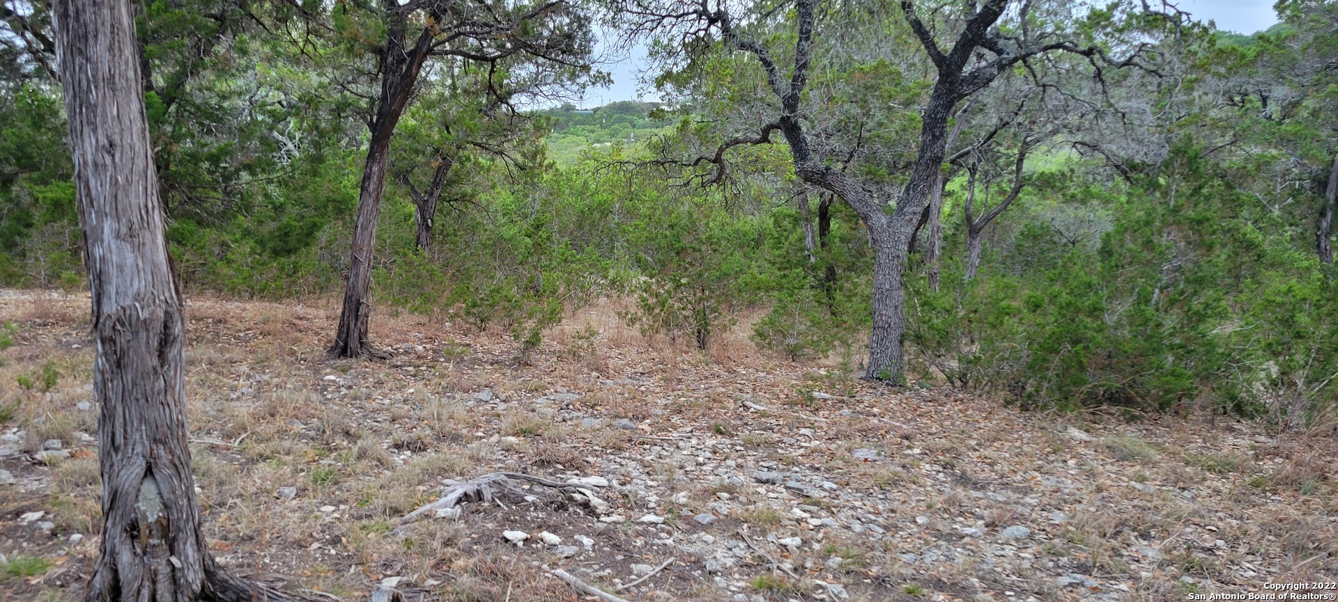 2515 Smoke Rise Bulverde TX 78163