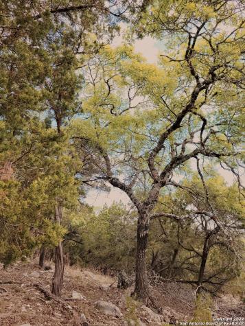 2515 Smoke Rise Bulverde TX 78163