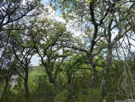 2515 Smoke Rise Bulverde TX 78163