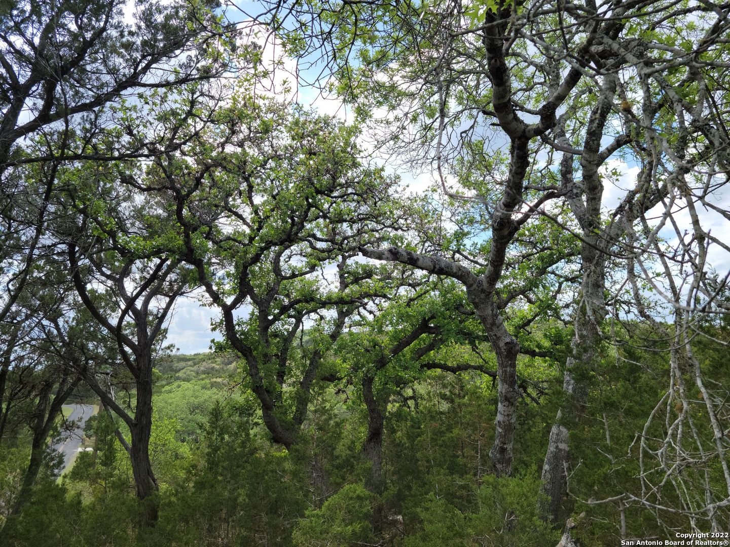 2515 Smoke Rise Bulverde TX 78163