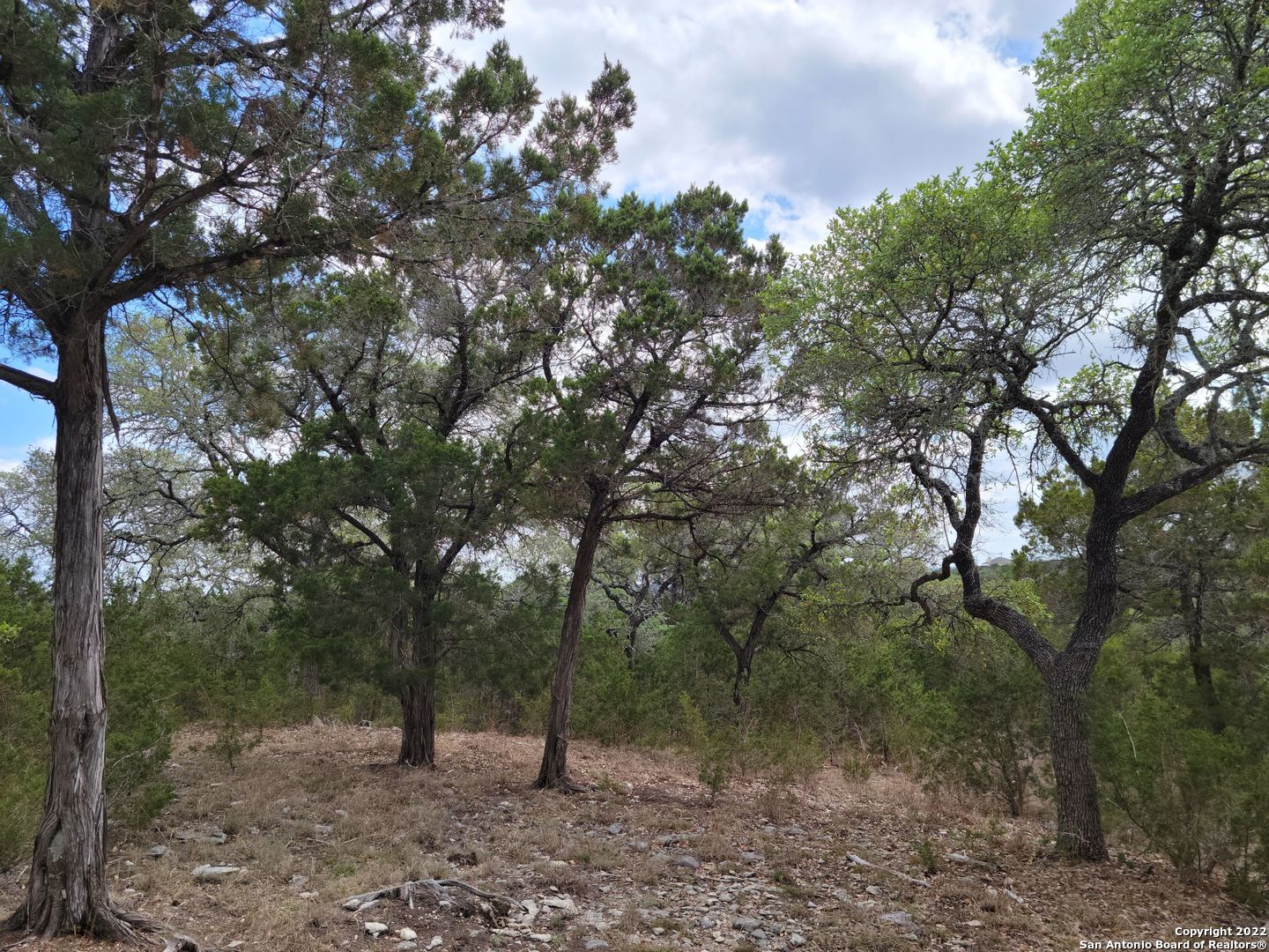 2515 Smoke Rise Bulverde TX 78163