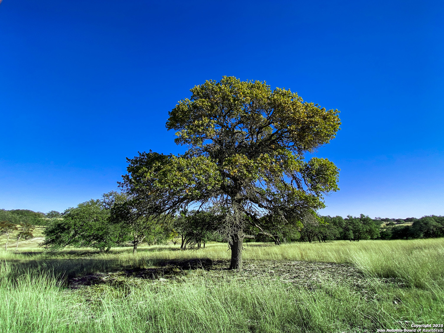 Lot 155 Loma Vista Ranch Kerrville TX 78028