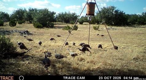 13217 Turner Road Junction TX 76849