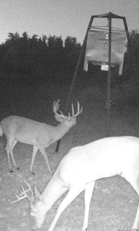13217 Turner Road Junction TX 76849
