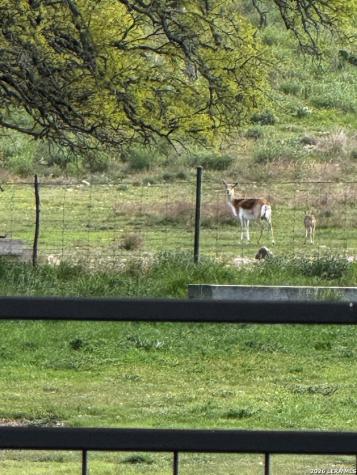 13217 Turner Road Junction TX 76849