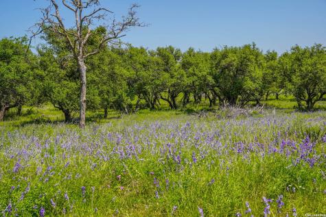 13217 Turner Road Junction TX 76849