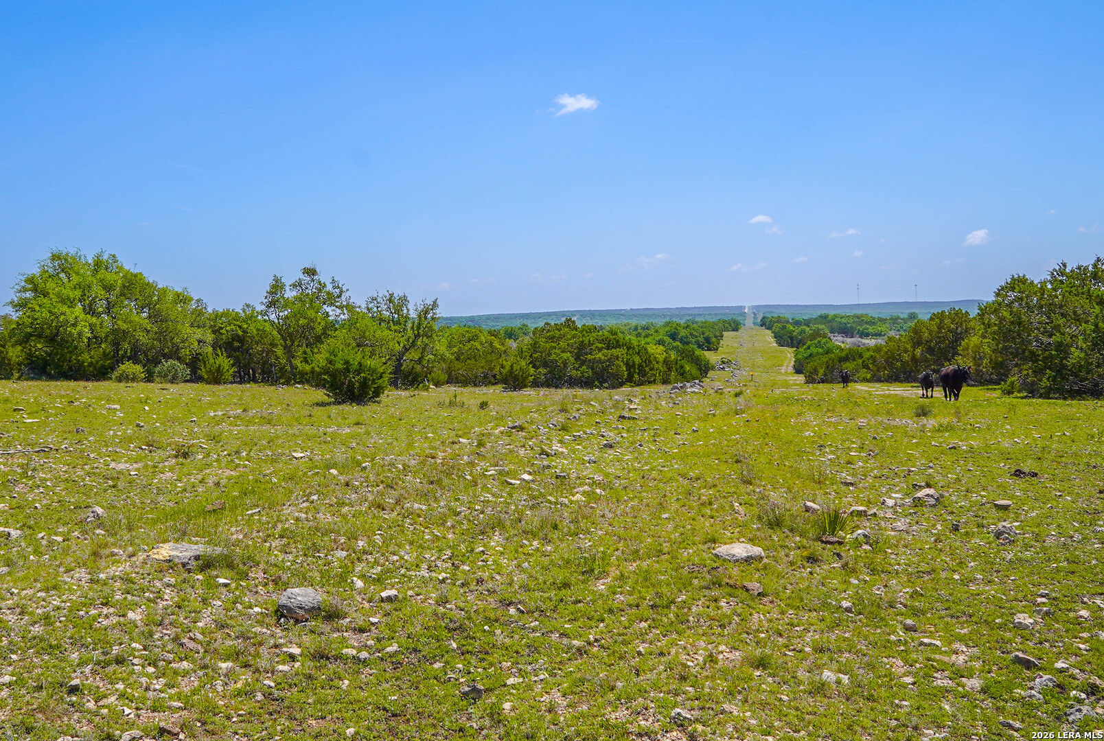 13217 Turner Road Junction TX 76849