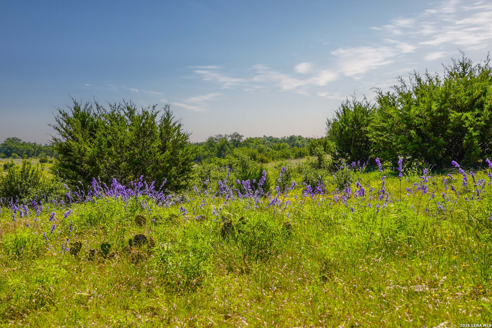 13217 Turner Road Junction TX 76849