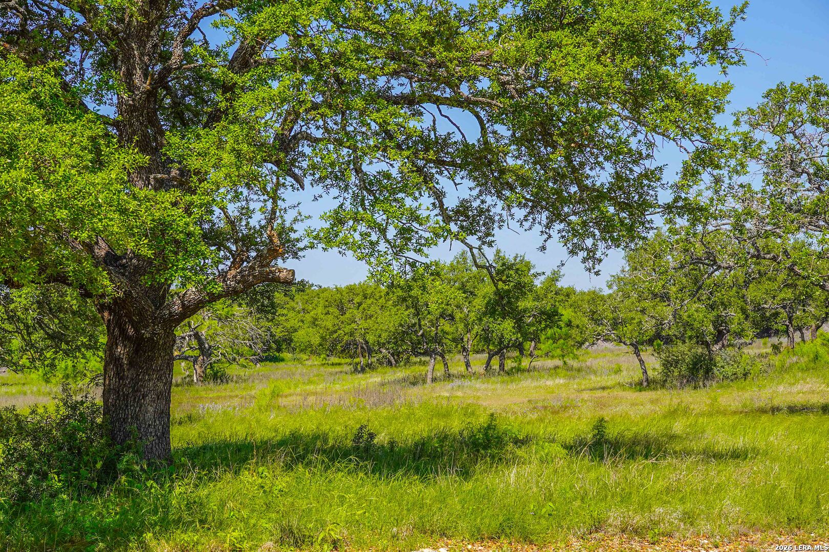 13217 Turner Road Junction TX 76849