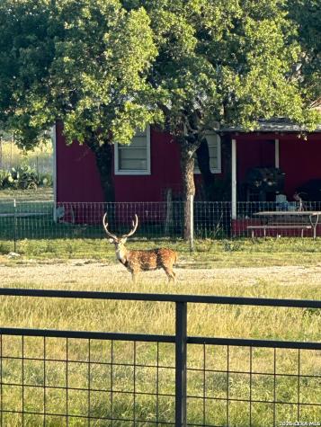 13217 Turner Road Junction TX 76849