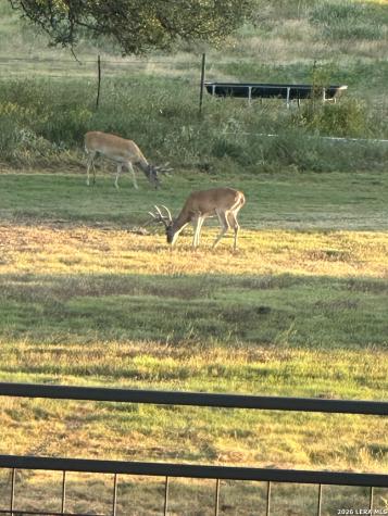 13217 Turner Road Junction TX 76849