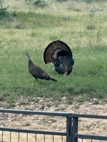 13217 Turner Road Junction TX 76849