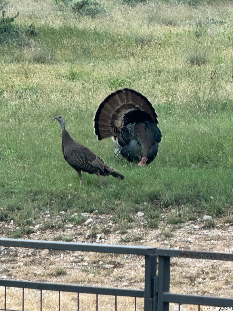 13217 Turner Road Junction TX 76849
