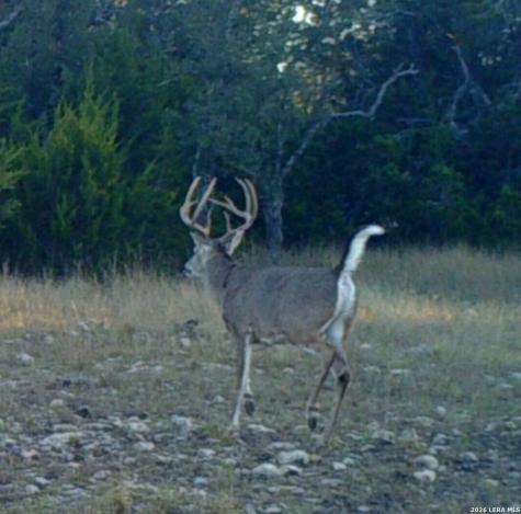 13217 Turner Road Junction TX 76849