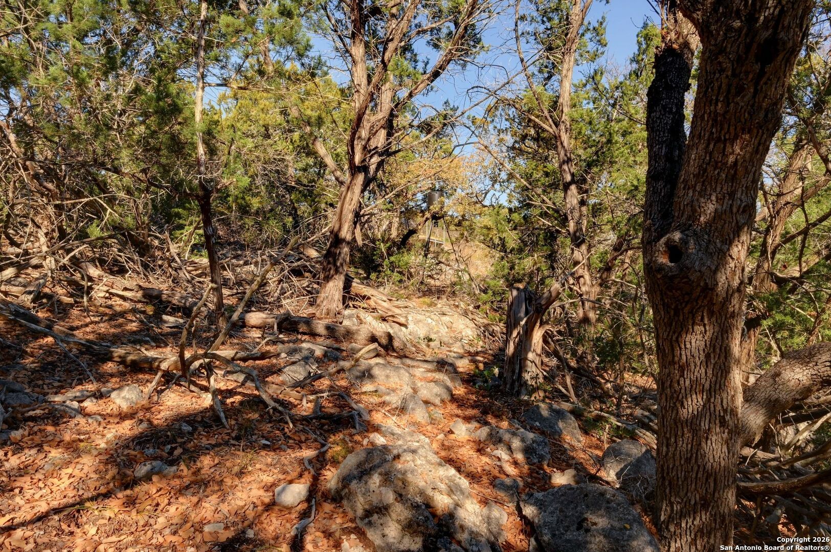 11586 Ranch Road 336 Leakey TX 78873