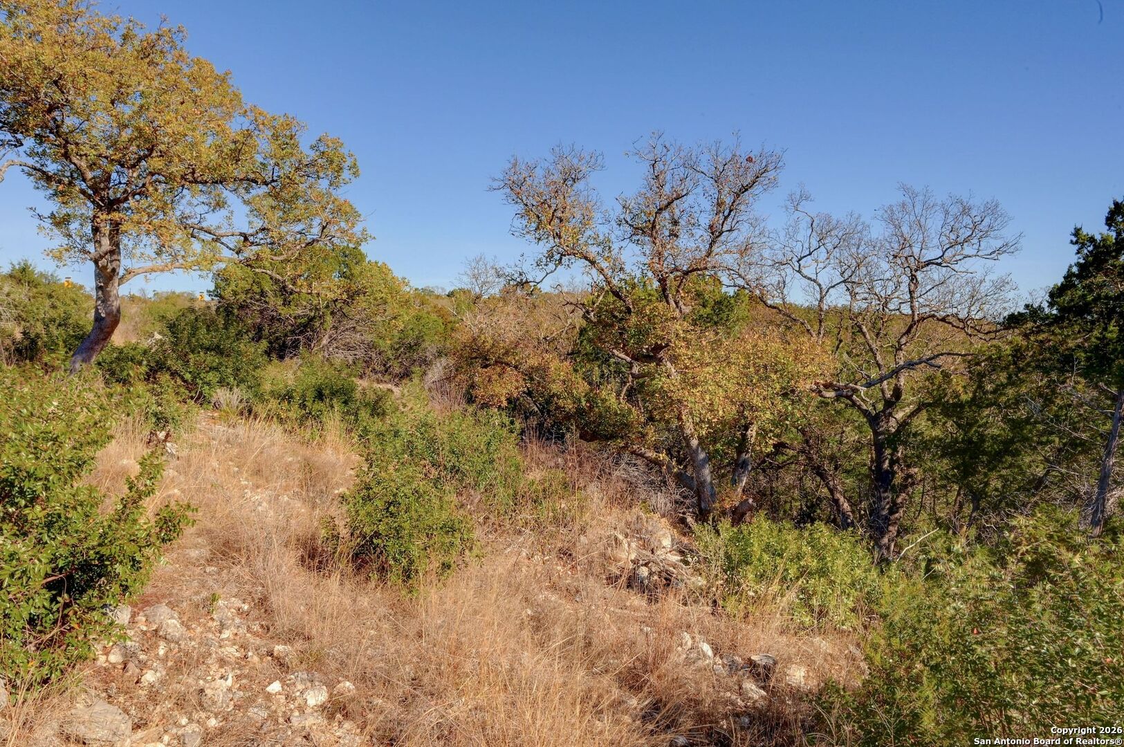 11586 Ranch Road 336 Leakey TX 78873