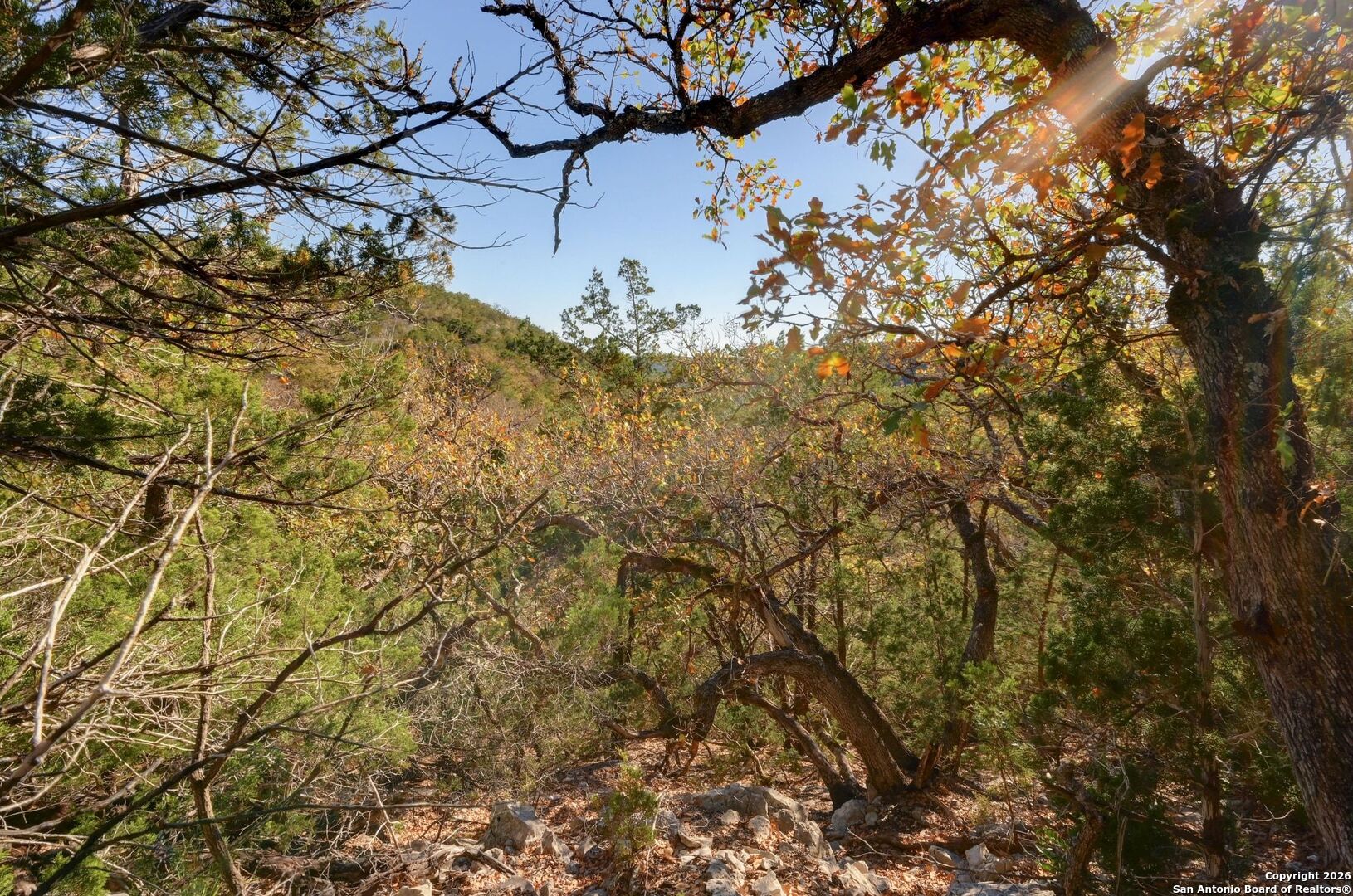 11586 Ranch Road 336 Leakey TX 78873