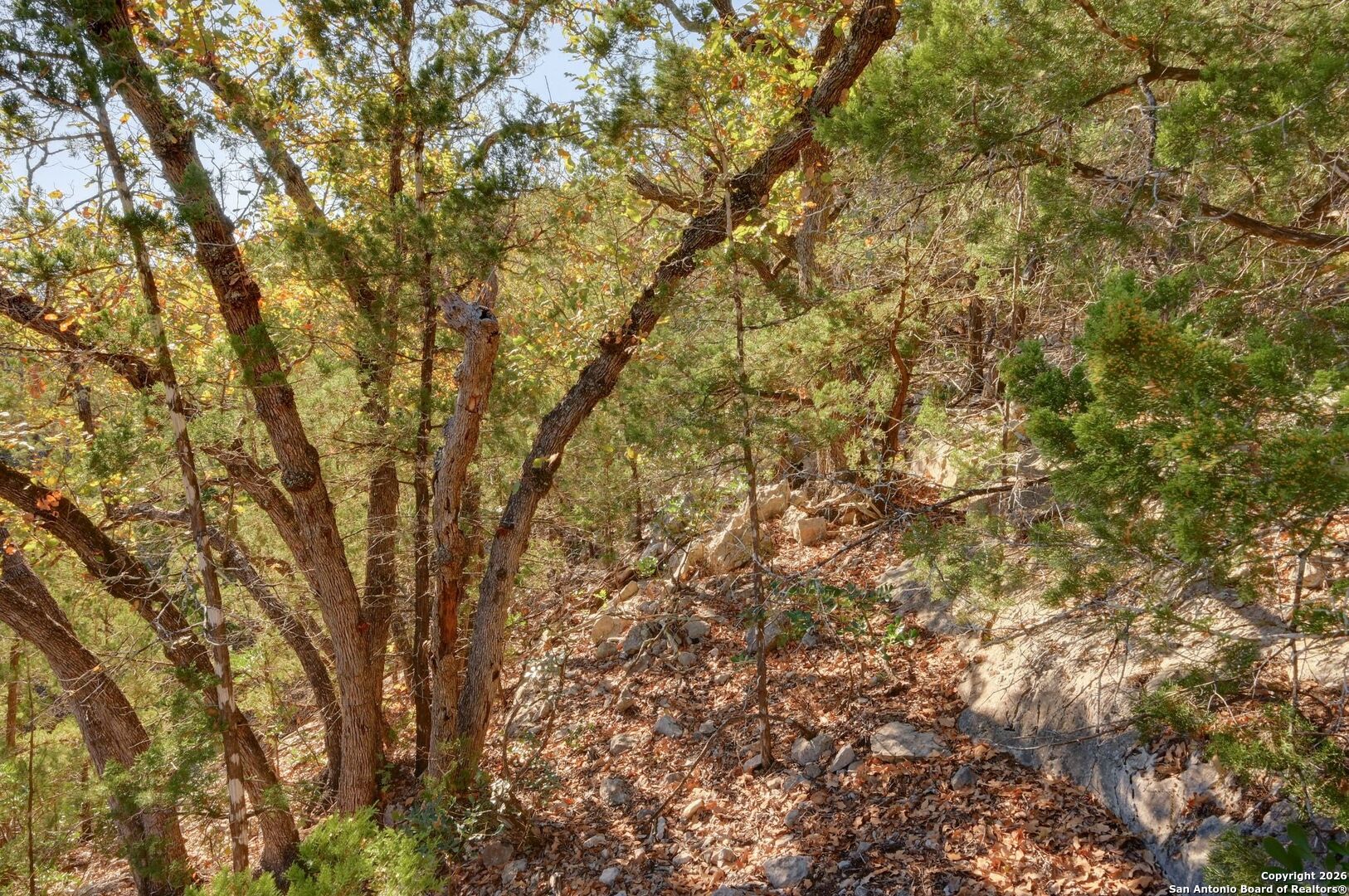 11586 Ranch Road 336 Leakey TX 78873