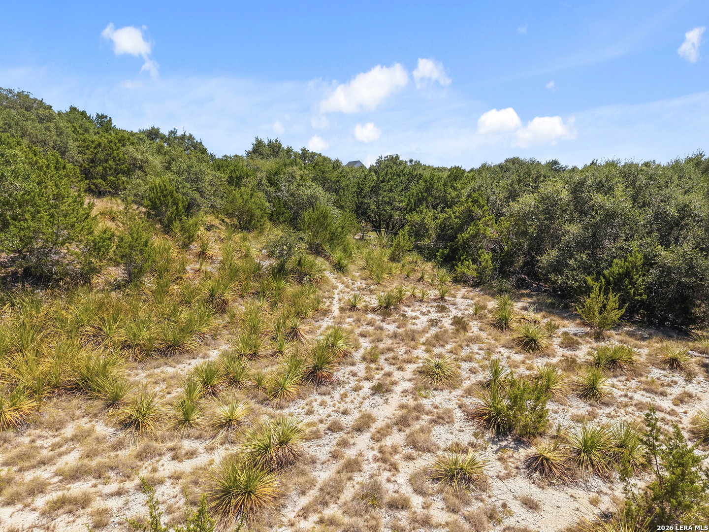 29114 Ledge Drive Boerne TX 78015