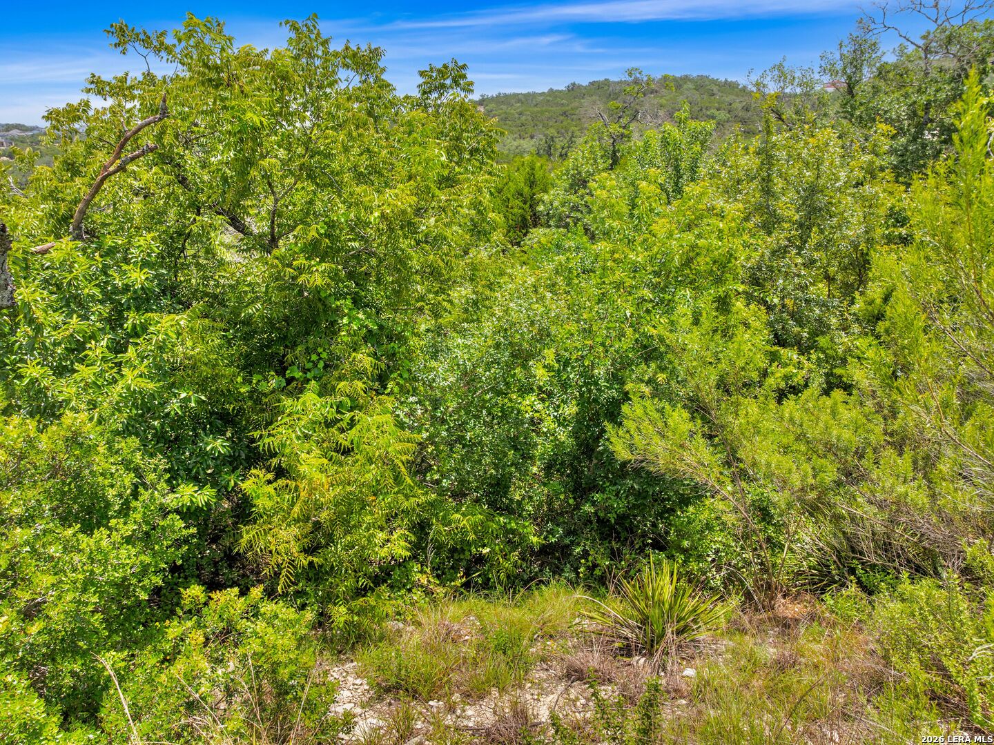 10030 Ivory Canyon San Antonio TX 78255