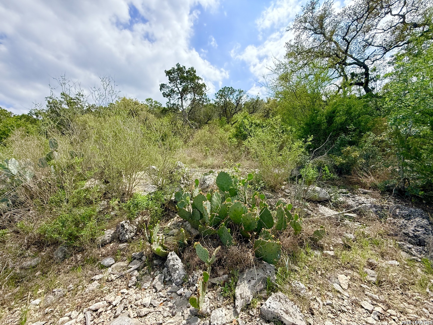 9852 Marnoch Road Helotes TX 78023