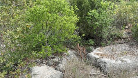 9852 Marnoch Road Helotes TX 78023