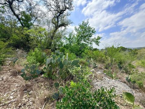 9852 Marnoch Road Helotes TX 78023