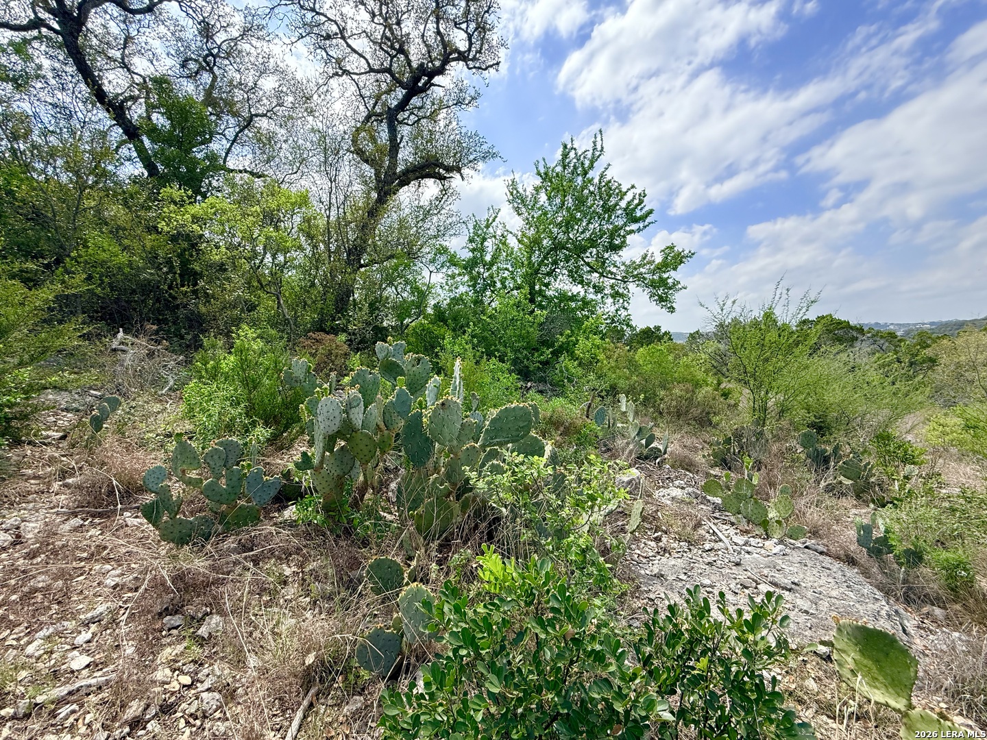 9852 Marnoch Road Helotes TX 78023