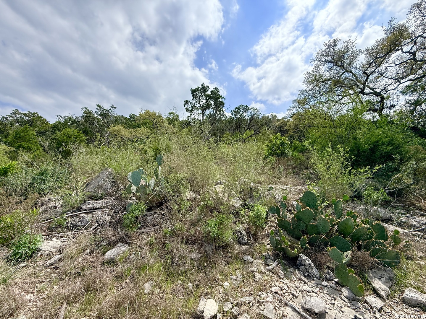 9852 Marnoch Road Helotes TX 78023
