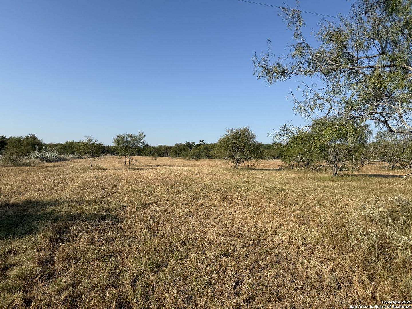 Tbd Fm 1681-tract 3 Stockdale TX 78160