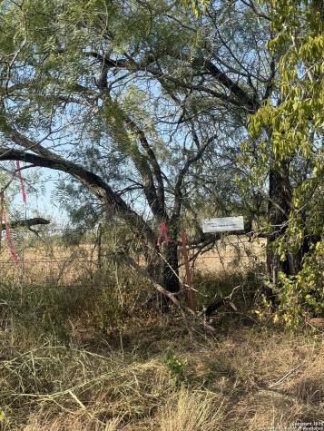 Tbd Fm 1681-tract 3 Stockdale TX 78160