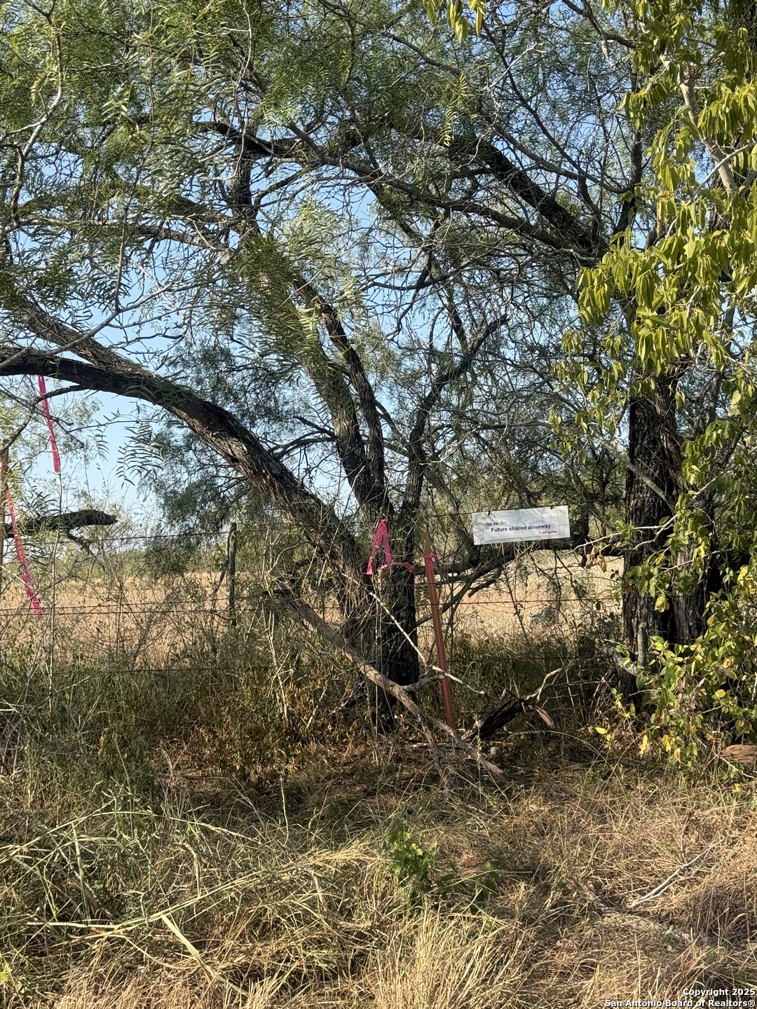 Tbd Fm 1681-tract 3 Stockdale TX 78160
