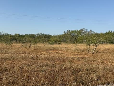 Tbd Fm 1681-tract 3 Stockdale TX 78160