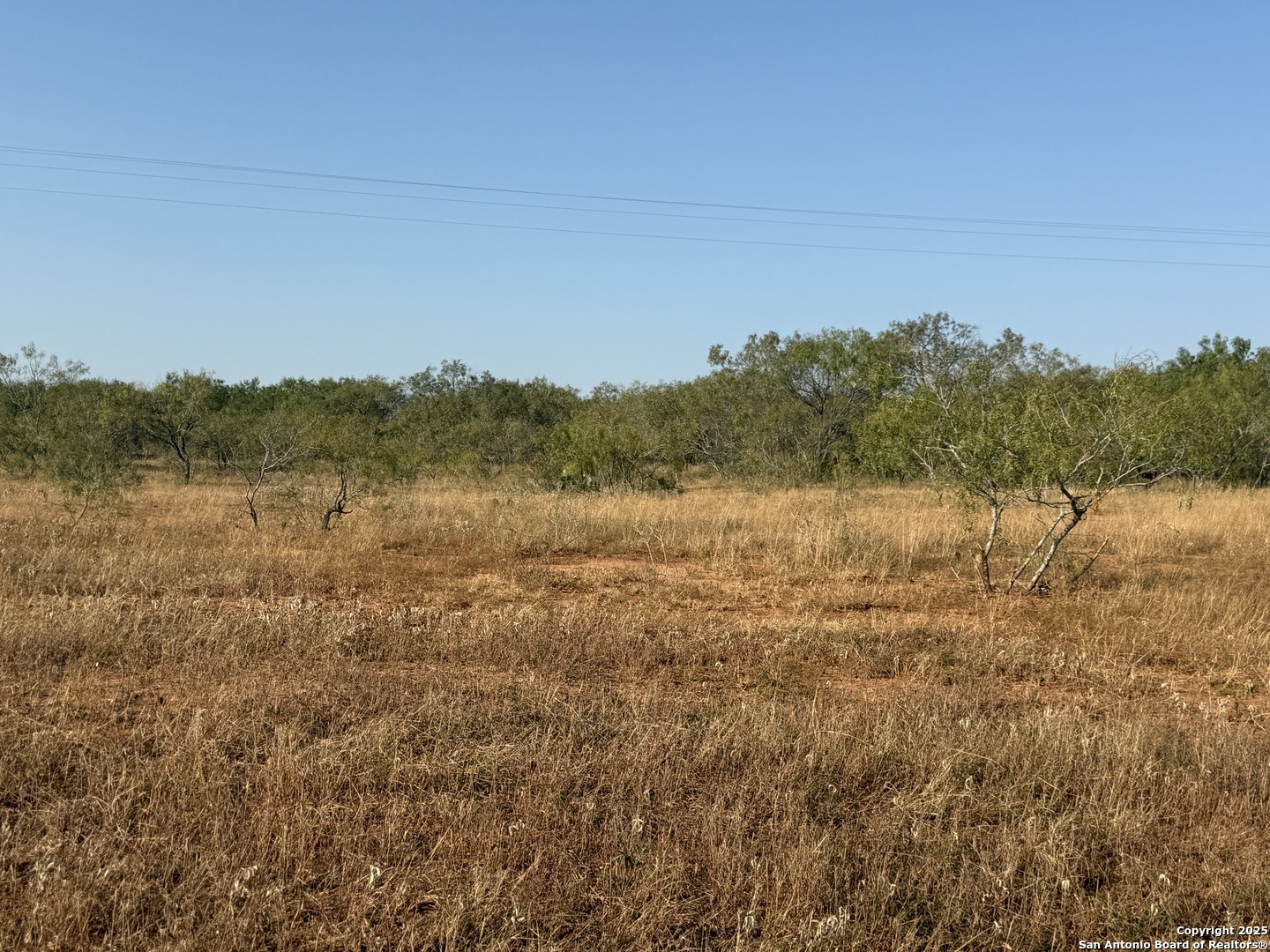 Tbd Fm 1681-tract 3 Stockdale TX 78160