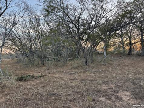 Tbd Fm 1681-tract 3 Stockdale TX 78160