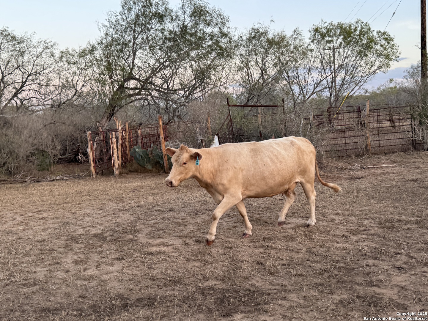 Tbd Fm 1681-tract 3 Stockdale TX 78160