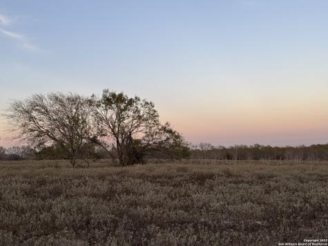 Tbd Fm 1681-tract 3 Stockdale TX 78160