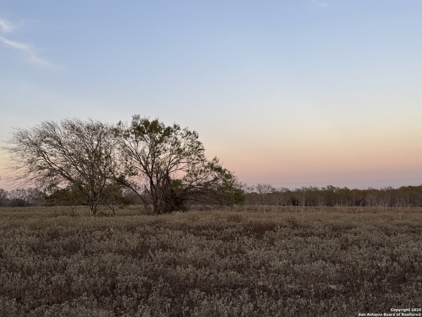 Tbd Fm 1681-tract 3 Stockdale TX 78160