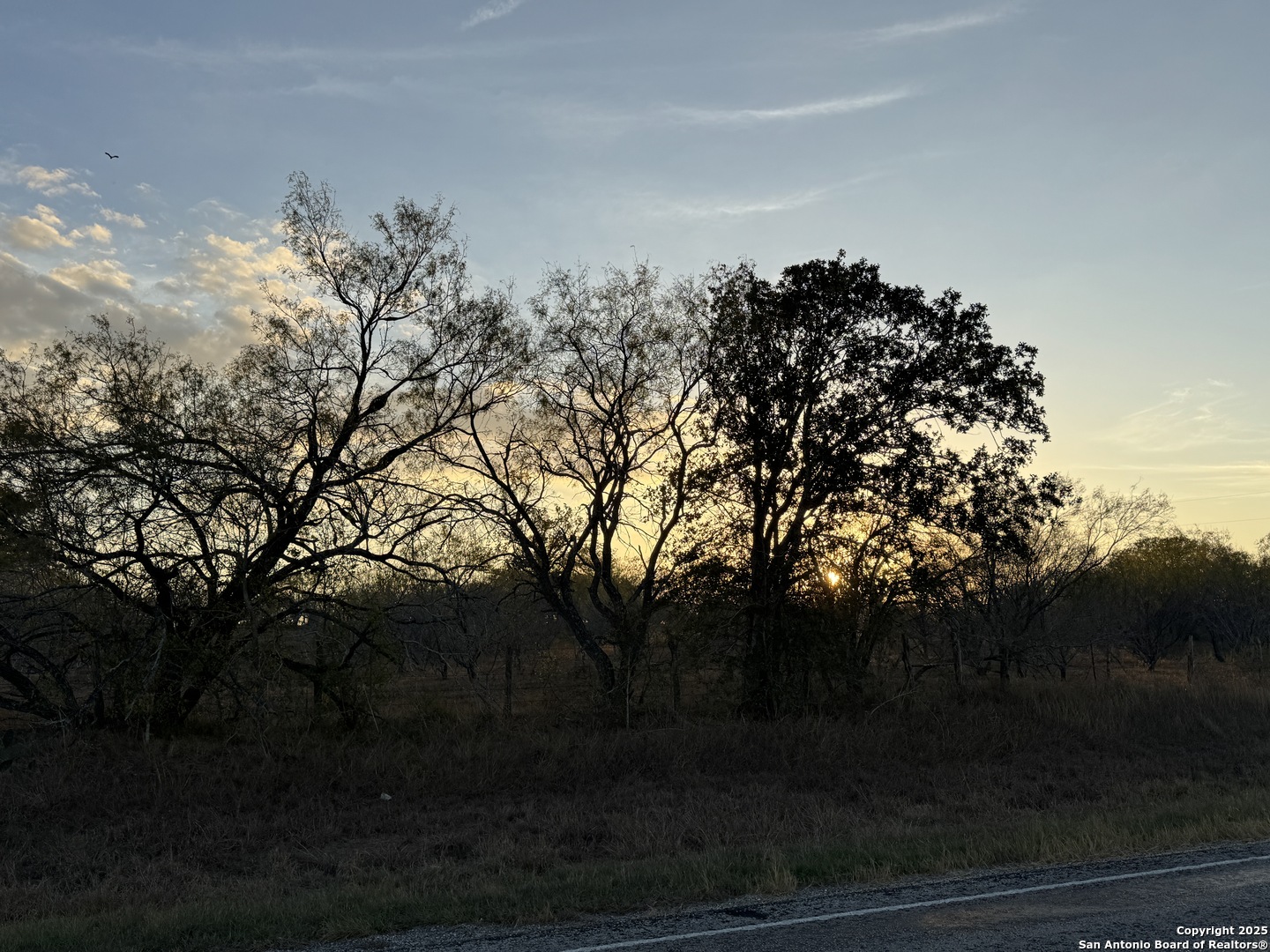 Tbd Fm 1681-tract 3 Stockdale TX 78160